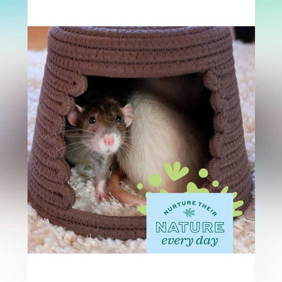 Oxbow Woven Hideout for Small Pets (Small) - Picture 4 of 5